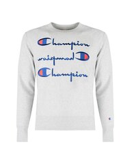 Kampsun meestele Champion 210976, hall цена и информация | Мужские свитера | kaup24.ee