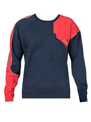 Champion Толстовка с капюшоном - 216555 - КрасныйВоенно-морской  regular fit 216555 цена и информация | Мужские толстовки | kaup24.ee