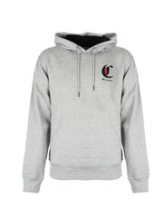 Champion Толстовка с капюшоном Hoodie - HBGF89H586NKA - Серый  regular fit HBGF89H586NKA цена и информация | Мужские толстовки | kaup24.ee