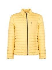 Geox Куртка Dennie - M2528B T2919 - Желтый  regular fit M2528B T2919 цена и информация | Мужские куртки | kaup24.ee