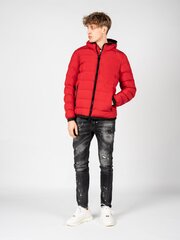 Geox Куртка Spherica - M2629C T2961 - Красный  regular fit M2629C T2961 цена и информация | Мужские куртки | kaup24.ee