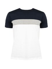 Geox T-shirt Sustainable - M2510F T2870 | Sustainable - БелыйСерыйВоенно-морской  regular fit M2510F T2870 | Sustainable цена и информация | Мужские футболки | kaup24.ee