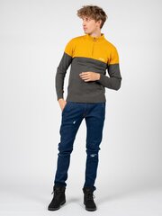 Kampsun meestele Guess, hall цена и информация | Мужские свитера | kaup24.ee