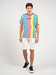 Guess T-Shirt - M0FI0IR9XF0 - БелыйМногоцветный  regular fit M0FI0IR9XF0 цена и информация | Мужские футболки | kaup24.ee