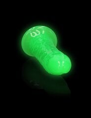 Pimedas helendav vibraator Glow in the Dark, 18 cm, roheline hind ja info | Dildod | kaup24.ee