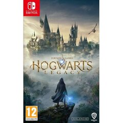 Hogwarts Legacy hind ja info | Arvutimängud, konsoolimängud | kaup24.ee