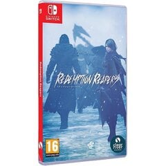 Redemption Reapers Switch игра цена и информация | Компьютерные игры | kaup24.ee