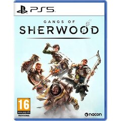 Gangs of Sherwood цена и информация | Компьютерные игры | kaup24.ee