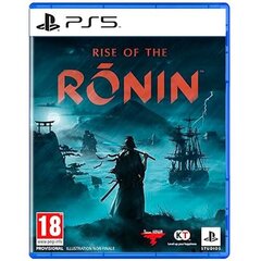 Rise of The Ronin PS5 цена и информация | Компьютерные игры | kaup24.ee