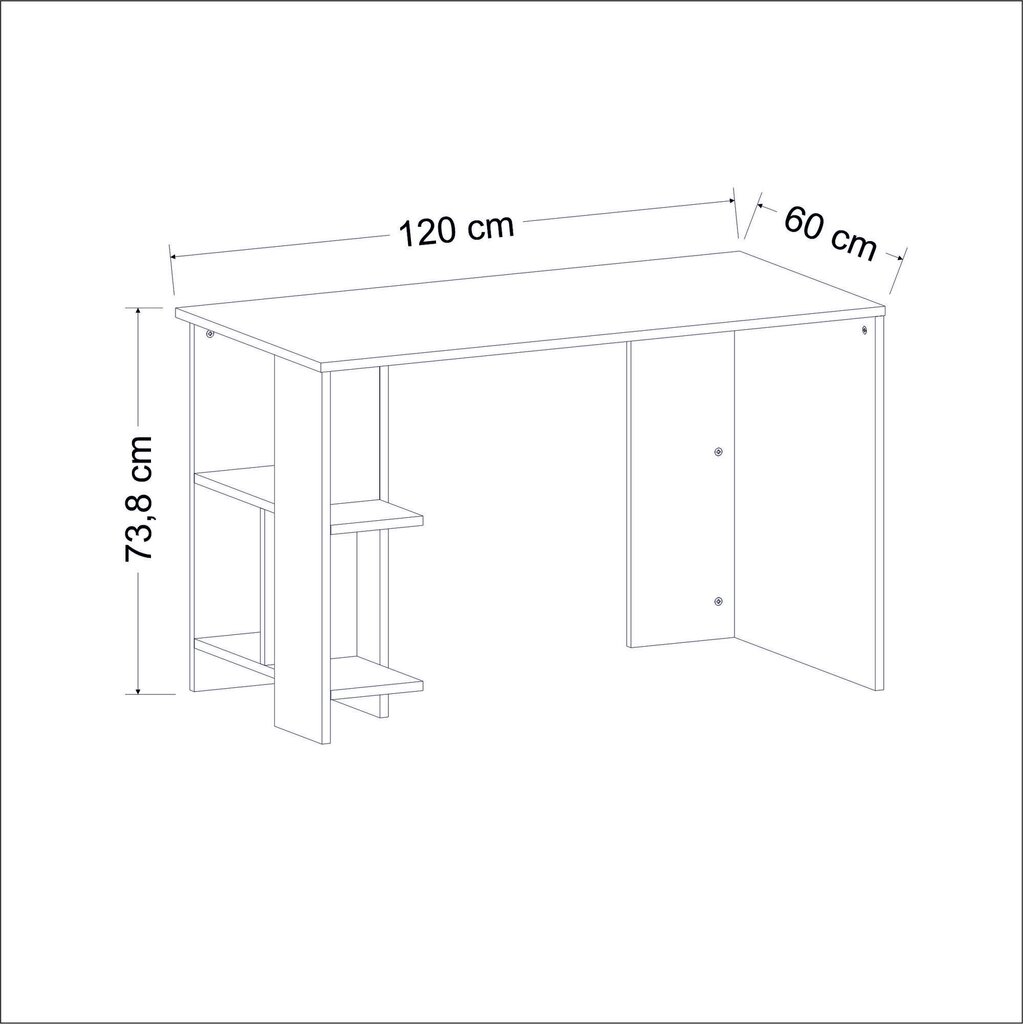 Kirjutuslaud Asir, 120x73,8x60 cm, beež цена и информация | Arvutilauad, kirjutuslauad | kaup24.ee