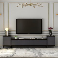 TV-alus Asir, 180x45,2x35 cm, hall цена и информация | Тумбы под телевизор | kaup24.ee