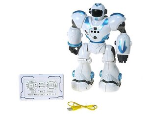 Adar Robot r/c цена и информация | Игрушки для мальчиков | kaup24.ee