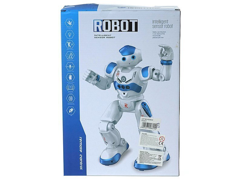 Adar Robot r/c цена и информация | Poiste mänguasjad | kaup24.ee