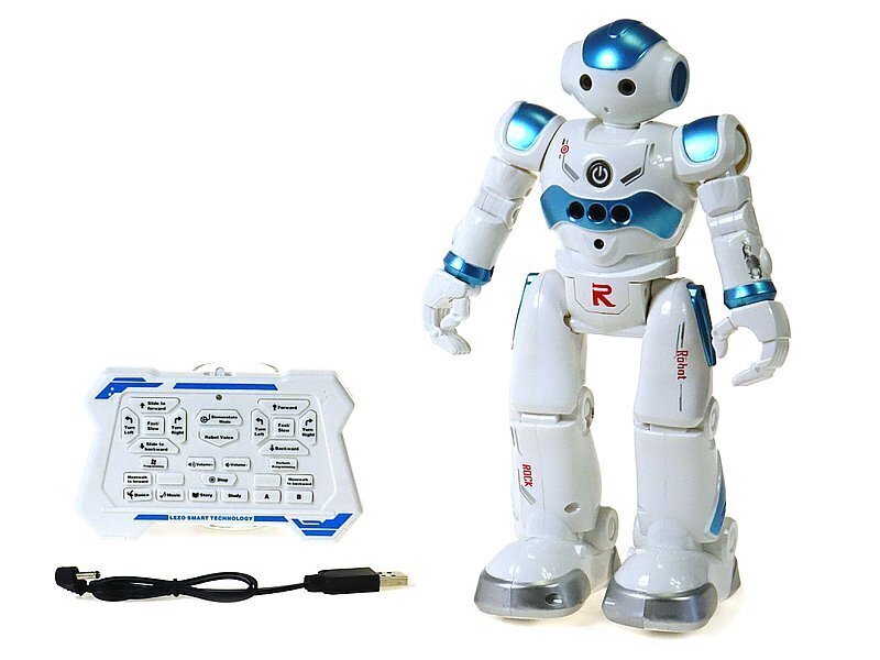 Adar Robot r/c цена и информация | Poiste mänguasjad | kaup24.ee
