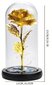 Uinuv roos klaaskuplis LED-valgustitega, LIVMAN hind ja info | Muud kingitused | kaup24.ee