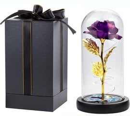 Вечная роза в стеклянном куполе со светодиодной подсветкой, LIVMAN цена и информация | Другие оригинальные подарки | kaup24.ee