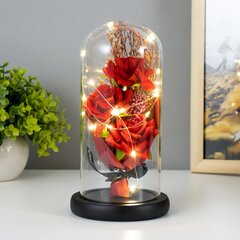 Вечный букет из 3 роз в стеклянном куполе со светодиодной подсветкой, LIVMAN цена и информация | Другие подарки | kaup24.ee