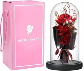 Вечный букет из 3 роз в стеклянном куполе со светодиодной подсветкой, LIVMAN цена и информация | Другие оригинальные подарки | kaup24.ee