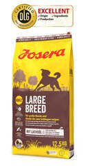 Josera для средних и крупных пород собак Large Breed, 12,5 кг цена и информация | Сухой корм для собак | kaup24.ee