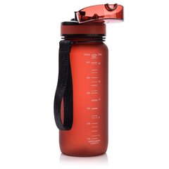 Joogipudel Meteor, 650 ml hind ja info | Joogipudelid | kaup24.ee