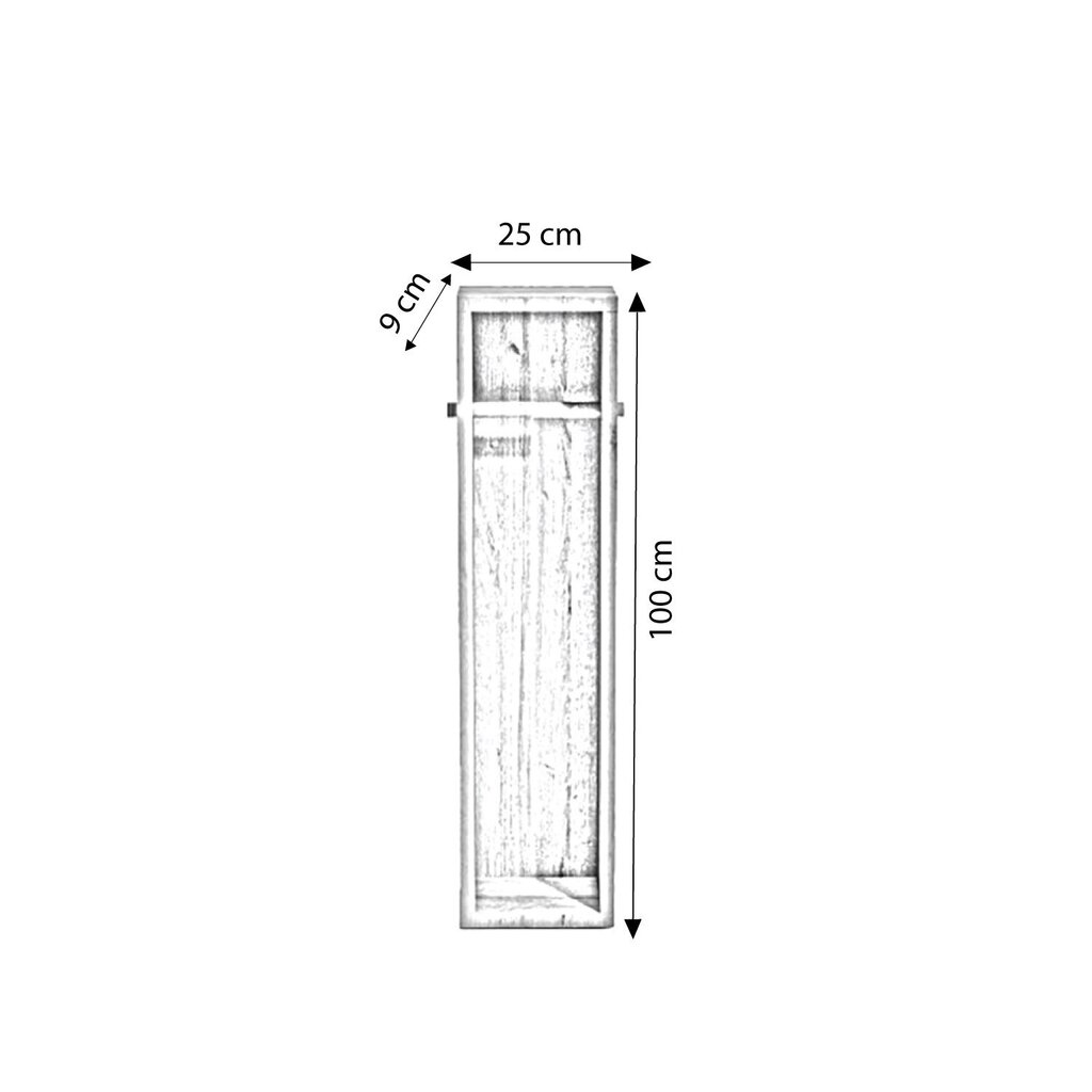 Vannitoa Kapp Asir, 25x100x9 cm, tume pruun hind ja info | Vannitoakapid | kaup24.ee