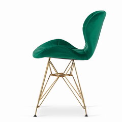 Комплект из 4 стульев Nest, зеленый цена и информация | Стулья для кухни и столовой | kaup24.ee