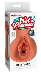 Мастурбатор Pipedream Extreme Toyz Wet Pussies Luscious Lips цена и информация | Секс игрушки, мастурбаторы | kaup24.ee