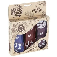 Harjade komplekt Magic Brush, 3-osaline hind ja info | Hooldusvahendid loomadele | kaup24.ee