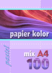 Värviline paber Kreska A4, 100 lehte, pastellvärvid hind ja info | Vihikud, märkmikud ja paberikaubad | kaup24.ee