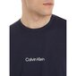 Calvin Klein T-särk meestele 79436, must цена и информация | Meeste T-särgid | kaup24.ee