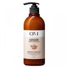 CP-1 Ginger Очищающий кондиционер для волос с имбирем 500мл цена и информация | Кондиционеры | kaup24.ee