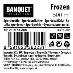 Spordipudel Frozen, 500ml цена и информация | Бутылки для воды | kaup24.ee