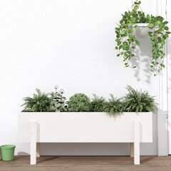 Taimekast vidaXL, 101x30x38cm, valge цена и информация | Ящики для цветов | kaup24.ee