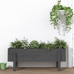 Taimekast vidaXL, 101x30x38cm, hall цена и информация | Ящики для цветов | kaup24.ee