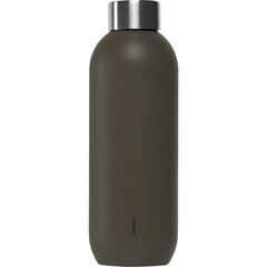 Termopudel Stelton Keep Cool, 600 ml цена и информация | Фляги для воды | kaup24.ee