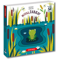 Детская книга Привет лягушка цена и информация | Книги для детей | kaup24.ee