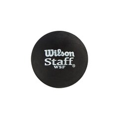 Squashipallide komplekt Wilson Staff, 2 tk hind ja info | Squash | kaup24.ee