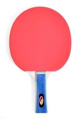 Настольная игра SMJ Ping-Pong Racket цена и информация | Ракетки для настольного тенниса, чехлы и наборы | kaup24.ee