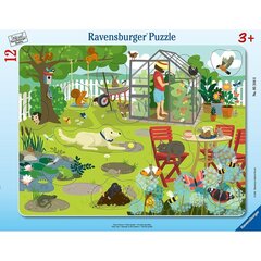 Ravensburger suur plaatpusle 12 tk Meie aed hind ja info | Pusled | kaup24.ee