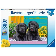 Ravensburger pusle Kutsikad, 300 tk цена и информация | Пазлы | kaup24.ee