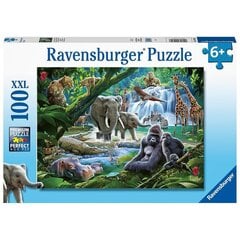 Пазл Ravensburger, 100 деталей, семья джунглей цена и информация | Пазлы | kaup24.ee