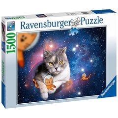 Ravensburger pusle Kosmose kassid, 1500 tk цена и информация | Пазлы | kaup24.ee