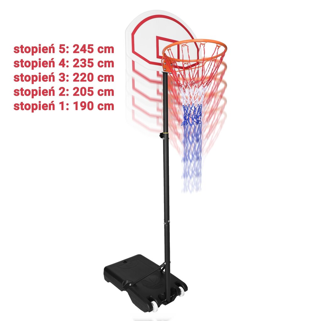 Reguleeritav korvpallilaud Dunker, 190x245cm hind ja info | Korvpallil alused | kaup24.ee