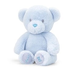 Мягкая игрушка Keel Toys Keeleco baby Bear мальчик синий, 20 см цена и информация | Мягкие игрушки | kaup24.ee