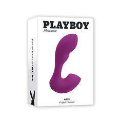 Vibraator Playboy Arch G-spot Remote Control Panty Vibe цена и информация | Вибраторы | kaup24.ee