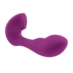 Vibraator Playboy Arch G-spot Remote Control Panty Vibe hind ja info | Vibraatorid | kaup24.ee