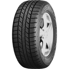 Goodyear Wrang hp aw hind ja info | Lamellrehvid | kaup24.ee