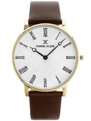 мужские часы daniel klein 12216-4 (zl013d) + коробка цена и информация | Мужские часы | kaup24.ee