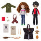 Komplekt Harry Potter ja Hermione + aksessuaarid hind ja info | Tüdrukute mänguasjad | kaup24.ee