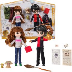 Komplekt Harry Potter ja Hermione + aksessuaarid цена и информация | MUST Металлическая бутылочка с Ярким рисунком (без BPA) (500ml) для мальчиков от 3+ лет Серая с Машинкой | kaup24.ee